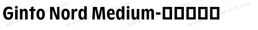 Ginto Nord Medium字体转换